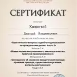Сертификат - Колонтай Дмитрий Владимирович