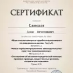 Сертификат 19 - Савельев Денис Вячеславович