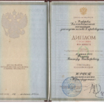 Диплом - Фомин Виктор Викторович