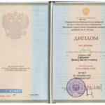 Диплом МГЮА - Давыдов Денис Валентинович