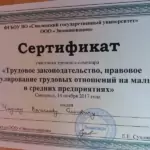 Сертификат - Чадин Вячеслав Олегович