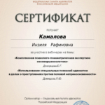 Сертификат 4 - Камалова Инзиля Рафиновна