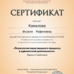 Сертификат 5 - Камалова Инзиля Рафиновна