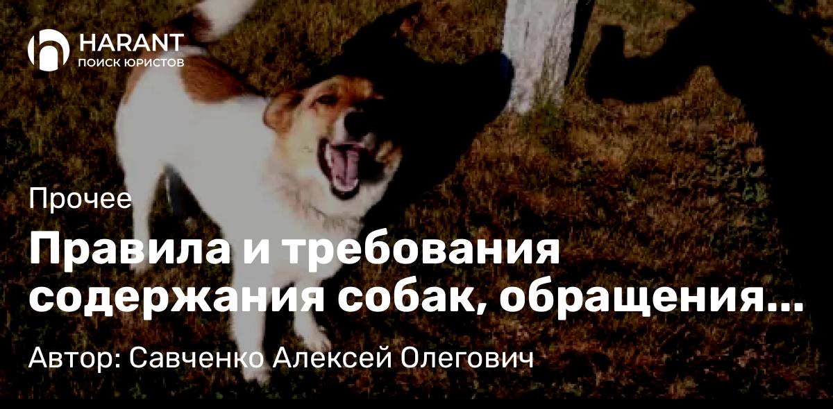 Юрист Савченко Алексей Олегович объясняет: Правила и требования содержания собак, обращения с ними, выгул