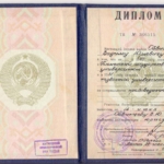 Диплом - Обвинцев Вадим Юрьевич