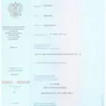 Диплом: Байкальский государственный университет экономики и права, 2025 — Киргизов Д.Ю.