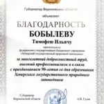 Благодарность - Бобылев Тимофей Ильич