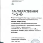 Благодарность 2 - Бобылев Тимофей Ильич