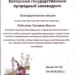 Благодарность 3 - Бобылев Тимофей Ильич