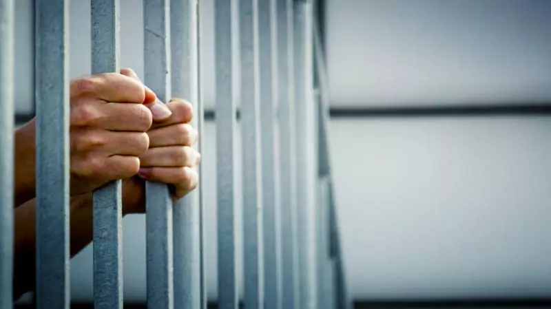 Адвокат Байков Руслан Петрович объясняет: Как избежать тюрьмы по статье 228 УК РФ: взгляд адвоката