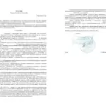 Решение - Малько Дмитрий Владимирович