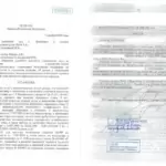 Решение - Малько Дмитрий Владимирович