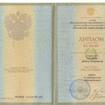 Диплом: РосНОУ, 2013 — Скляров Д.А.