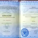Диплом - Бабинцев Александр Сергеевич