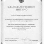 Благодарственное письмо Амурмоторс - Салямов Александр Викторович