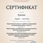 Сертификат 2 - Ерёмин Никита Сергеевич