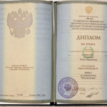 Диплом представителя - Ахмадишин Тимур Фаритович