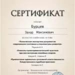 Сертификат 5 - Бурцев Захар Максимович