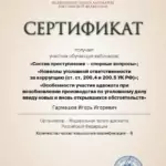 Сертификат 2020.11.19 - Гармашов Игорь Игоревич