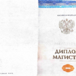 Диплом: Сибирский федеральный университет, 2023 — Власов К.В.