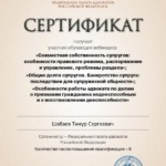 Сертификат 11.11.2020 - Шабаев Тимур Сергеевич