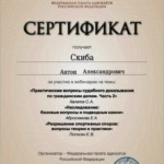 Сертификат - Скиба Антон Александрович