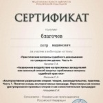 Сертификат 10 - Благочев Пётр Вадимович