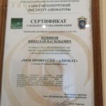 Сертификат - Новиков Николай Васильевич