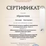Сертификат - Абрамочкин Евгений Викторович