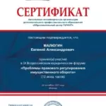 Сертификат - Малюгин Евгений Александрович