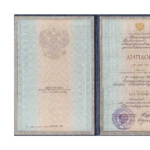 Диплом: Кубанский государственный университет, 1998 — Винярский И.И.