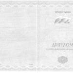 Диплом: Синергия, 2014 — Сынтин А.В.