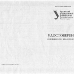 Диплом: Судебная финансово-экономическая экспертиза, 2017 — Сынтин А.В.