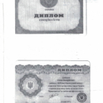 Диплом - Детинкин Евгений Валериевич