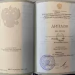 Диплом: Нижегородская академия Министерства внутренних дел Российской Федерации, 2012 — Федюнев А.В.