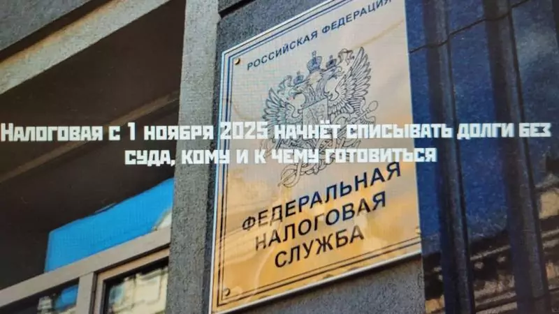Адвокат Харченко Светлана Николаевна объясняет: Налоговая начнёт взыскивать долги без суда — кому и к чему готовиться