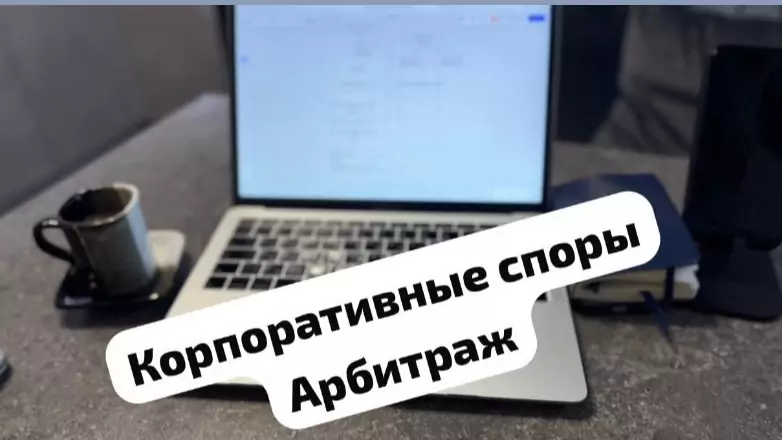 Юрист Тимофеев Дмитрий Игоревич объясняет: Когда информационная поддержка решает в арбитражном суде