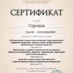 Сертификат 2 - Стрелков Сергей Александрович