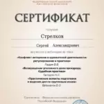 Сертификат 3 - Стрелков Сергей Александрович
