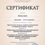 Сертификат - Никулин Дмитрий Александрович