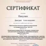 Сертификат 2 - Никулин Дмитрий Александрович