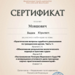 Сертификат 2 - Мовшович Вадим Юрьевич