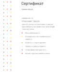 Сертификат 2 - Мовшович Вадим Юрьевич
