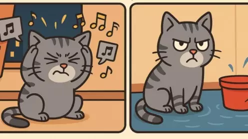 Соседи шумят, заливают или курят на балконе – как защитить свои права