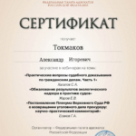 Сертификат 2 - Токмаков Александр Игоревич