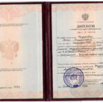 Диплом  ОмГУ - Фёдорова Анна Михайловна