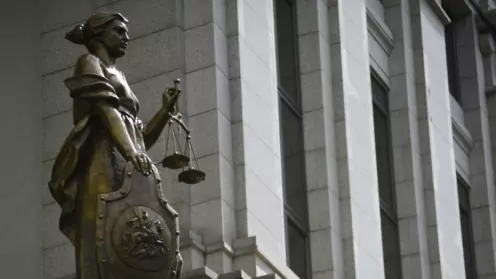 Проблема доказывания недобросовестности единоличного исполнительного органа при выводе активов под в