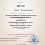 Сертификат 2 - Ерёмин Семён Владимирович