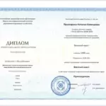 Диплом - Прожорина Наталья Евгеньевна