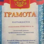Грамота ВКО2 - Ермилов Михаил Михайлович